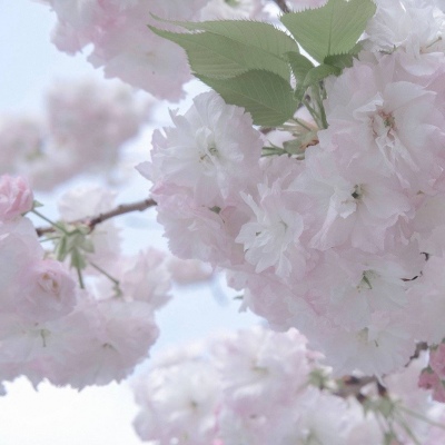 兽设潮流风格设计兽圈群